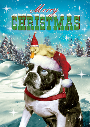 Dog and Duck Christmas Greeting Card by Max Hernn - Click Image to Close